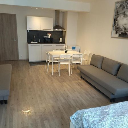 Brand New Studio Apartment #24 In Elite Residence With Free Secure Parking In The Center Prague Extérieur photo